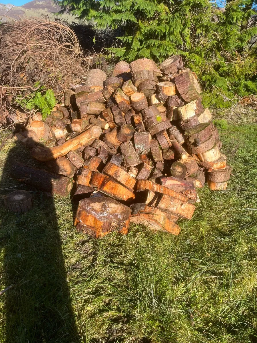 Fire wood - Image 2