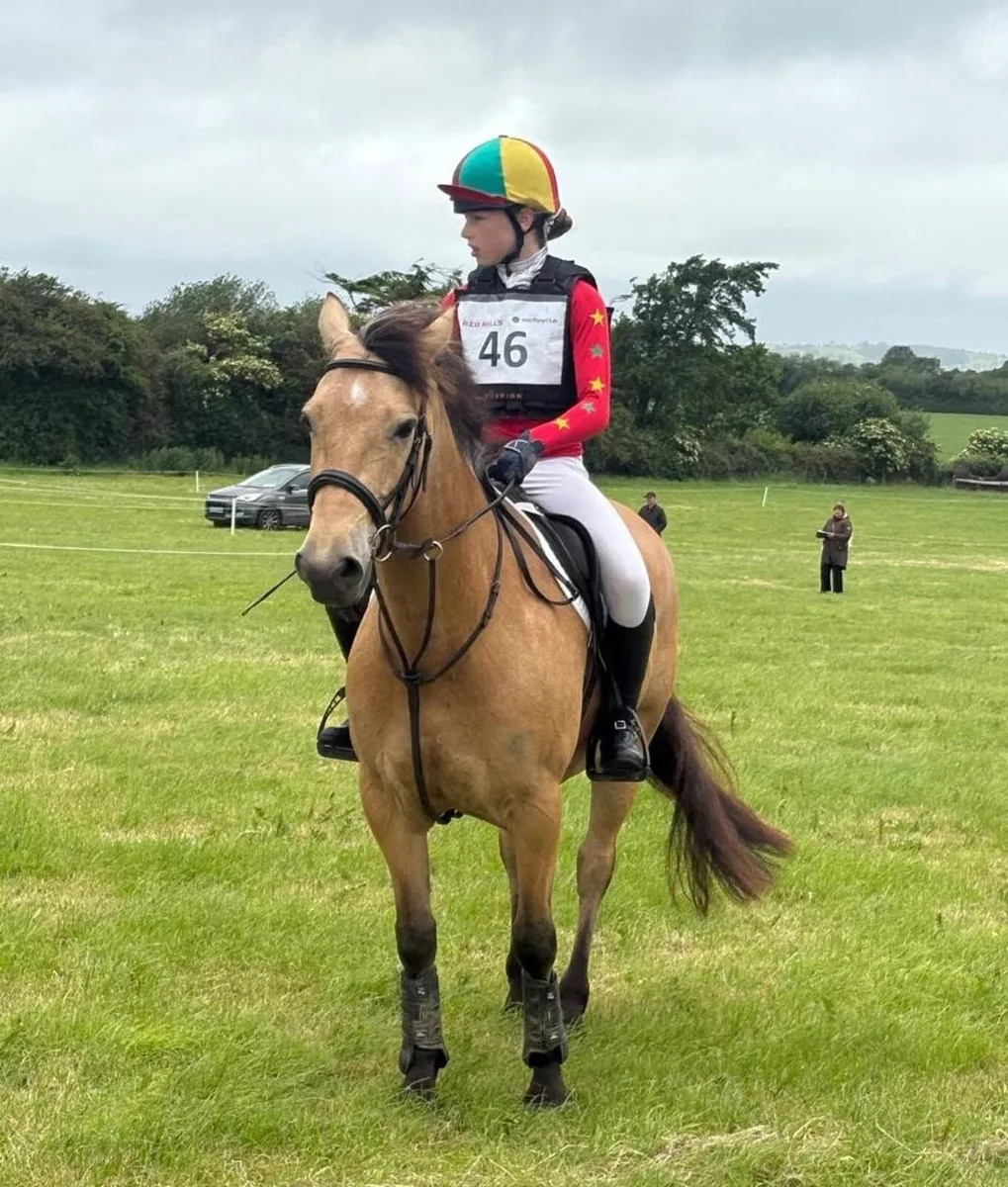 🌟 Super Pony Club Pony 🌟 - Image 1
