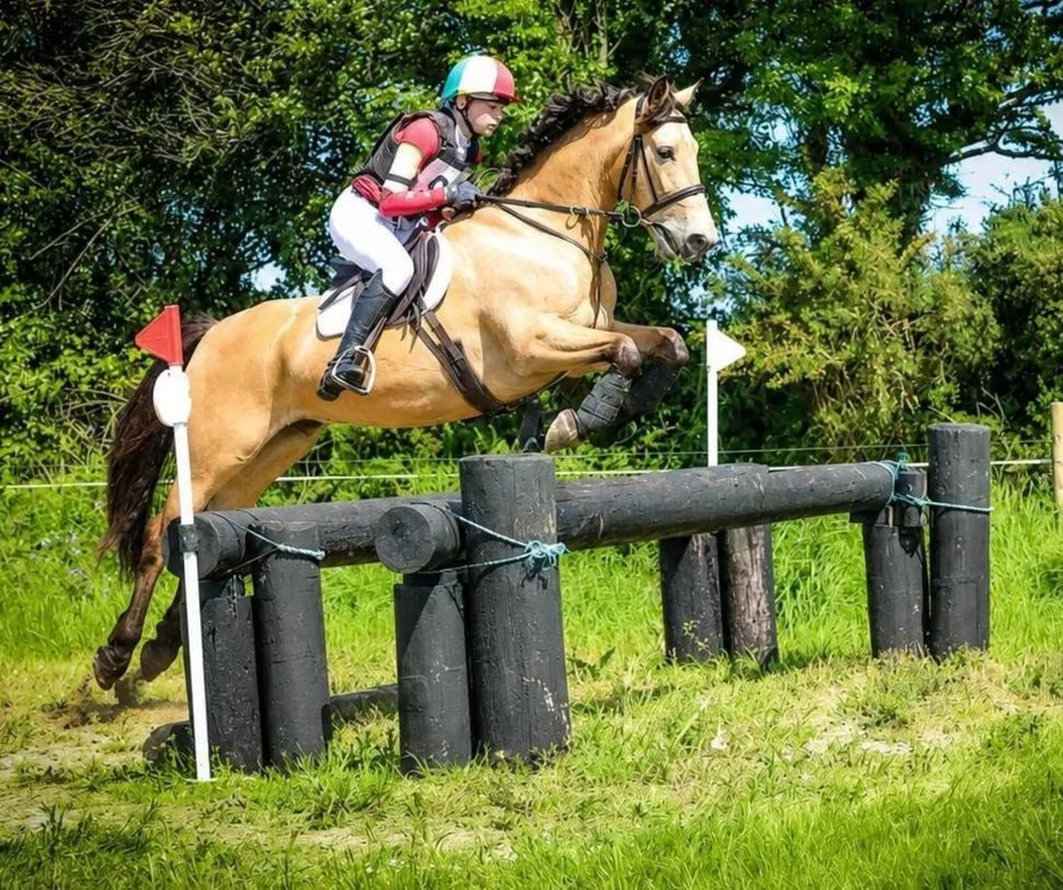 🌟 Super Pony Club Pony 🌟 - Image 4