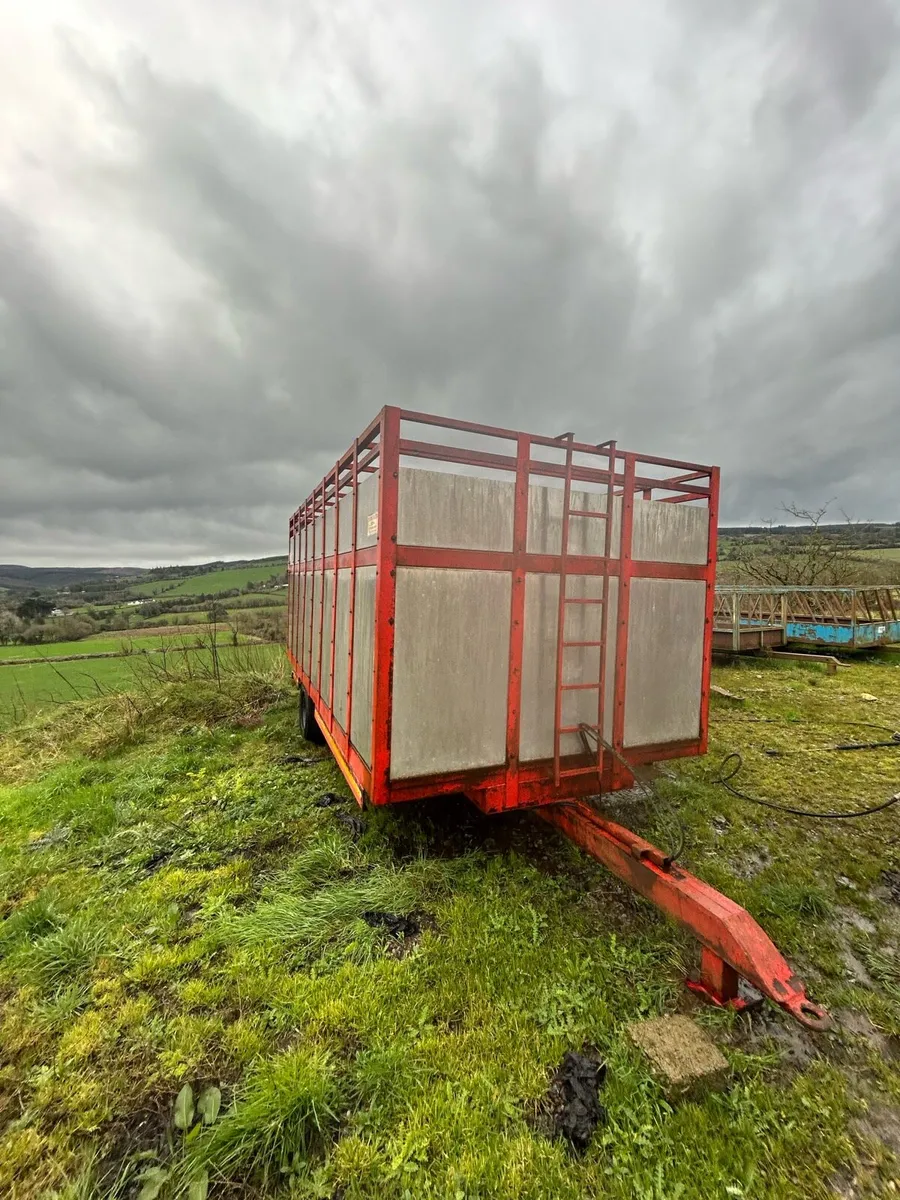 16ft cattle trailer - Image 2