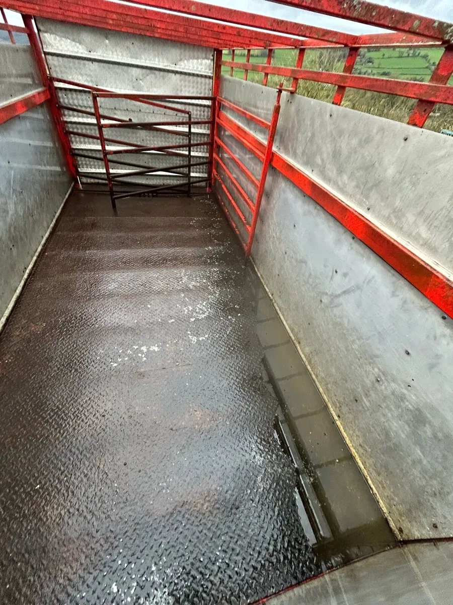 16ft cattle trailer - Image 3