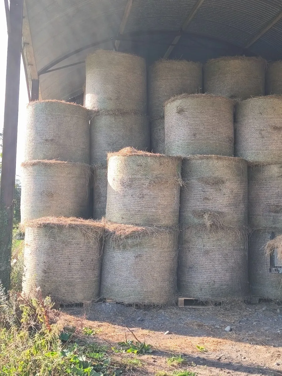 2025  Hay stored in shed