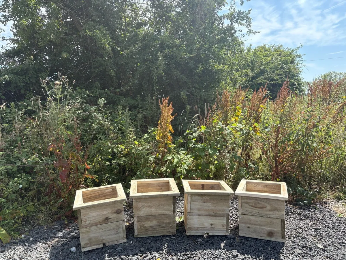 Wooden flower boxes - Image 2