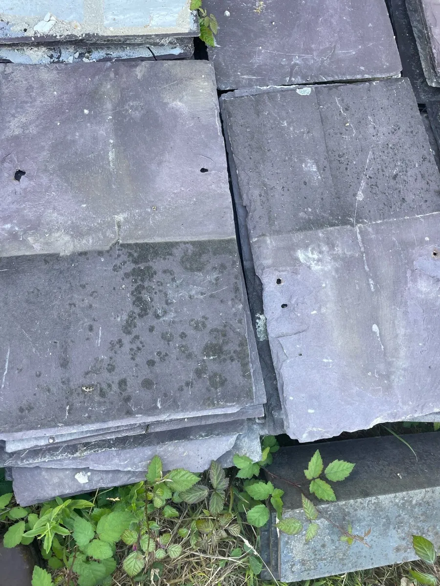Old natural slates - Image 1