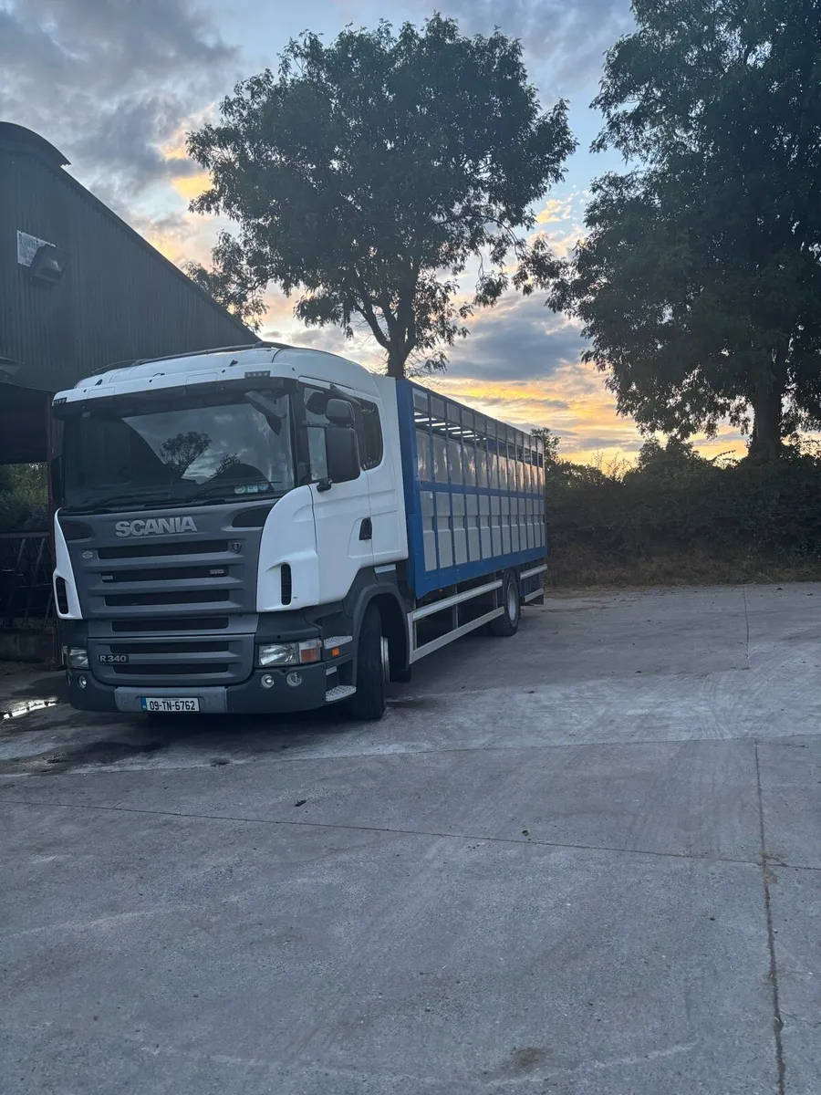 Scania Cattle Truck - Image 2