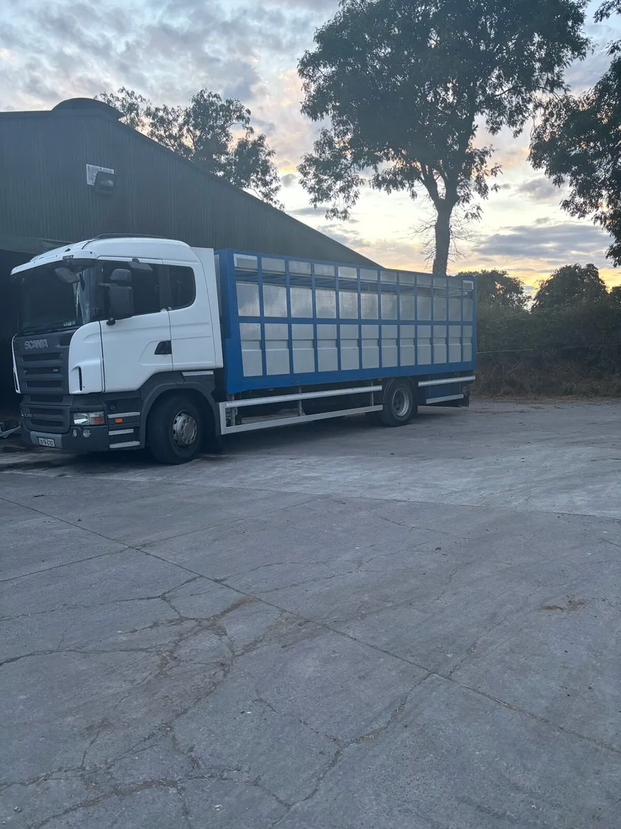 Scania Cattle Truck - Image 4