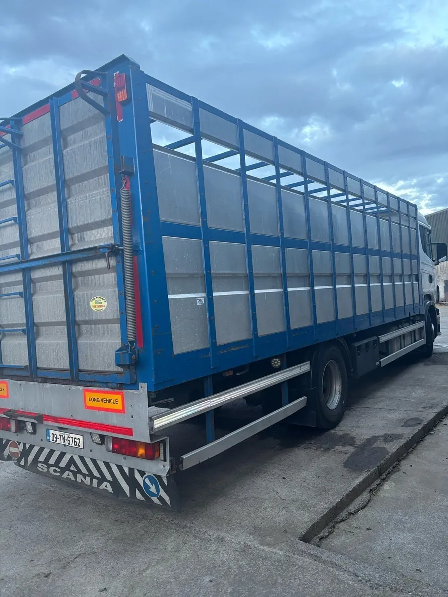 Scania Cattle Truck - Image 3