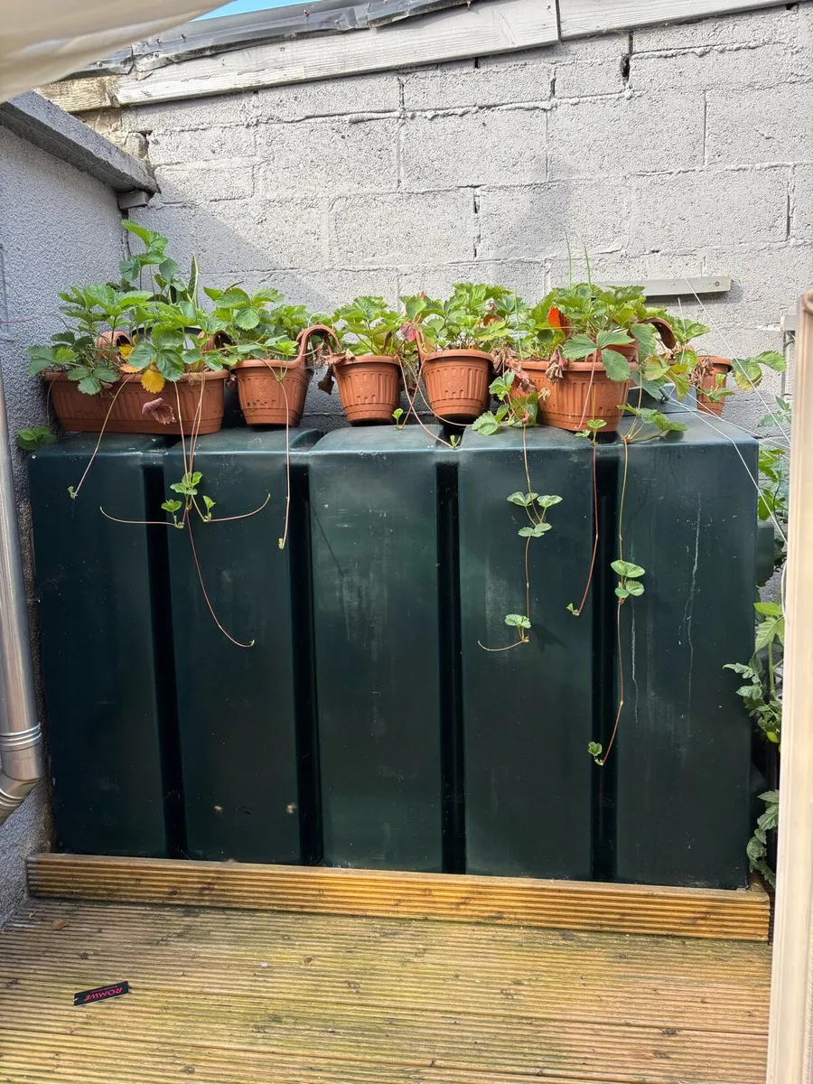 Oil Tank - Image 2