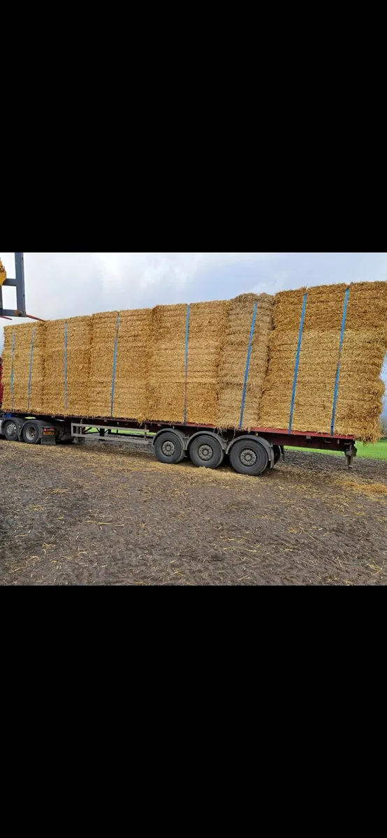 Serious quality spring straw - Image 3