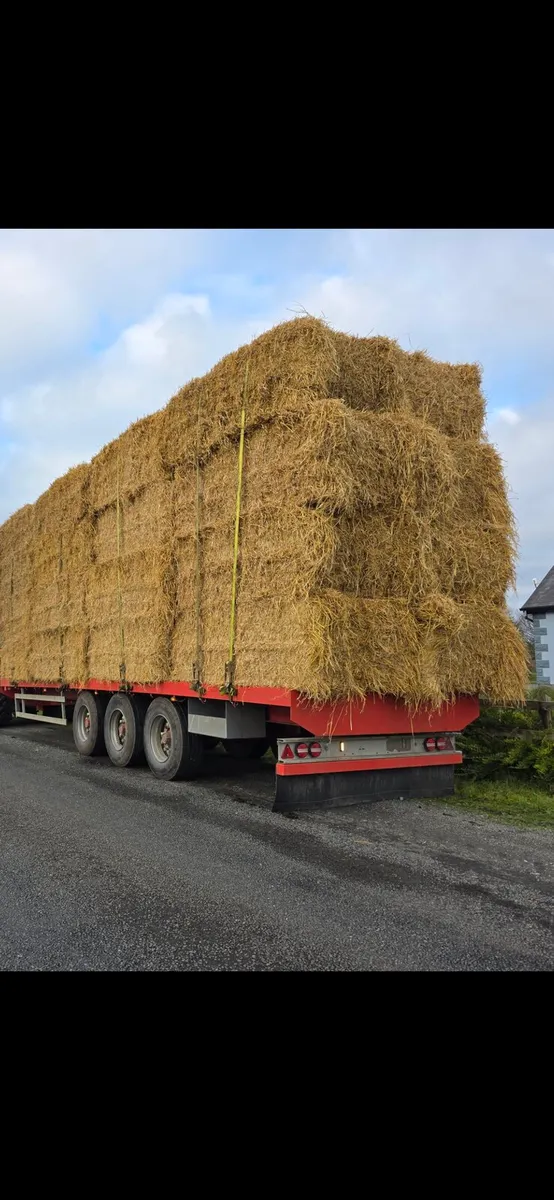 Serious quality spring straw - Image 2