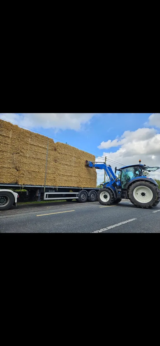 Serious quality spring straw - Image 4