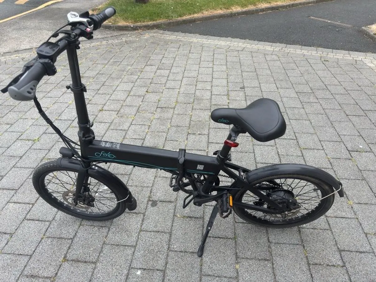 Fiido D4S Folding Electric Bike - Image 3