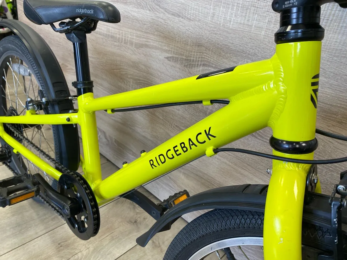Ridgeback dimension 20 (excellent condition) - Image 3