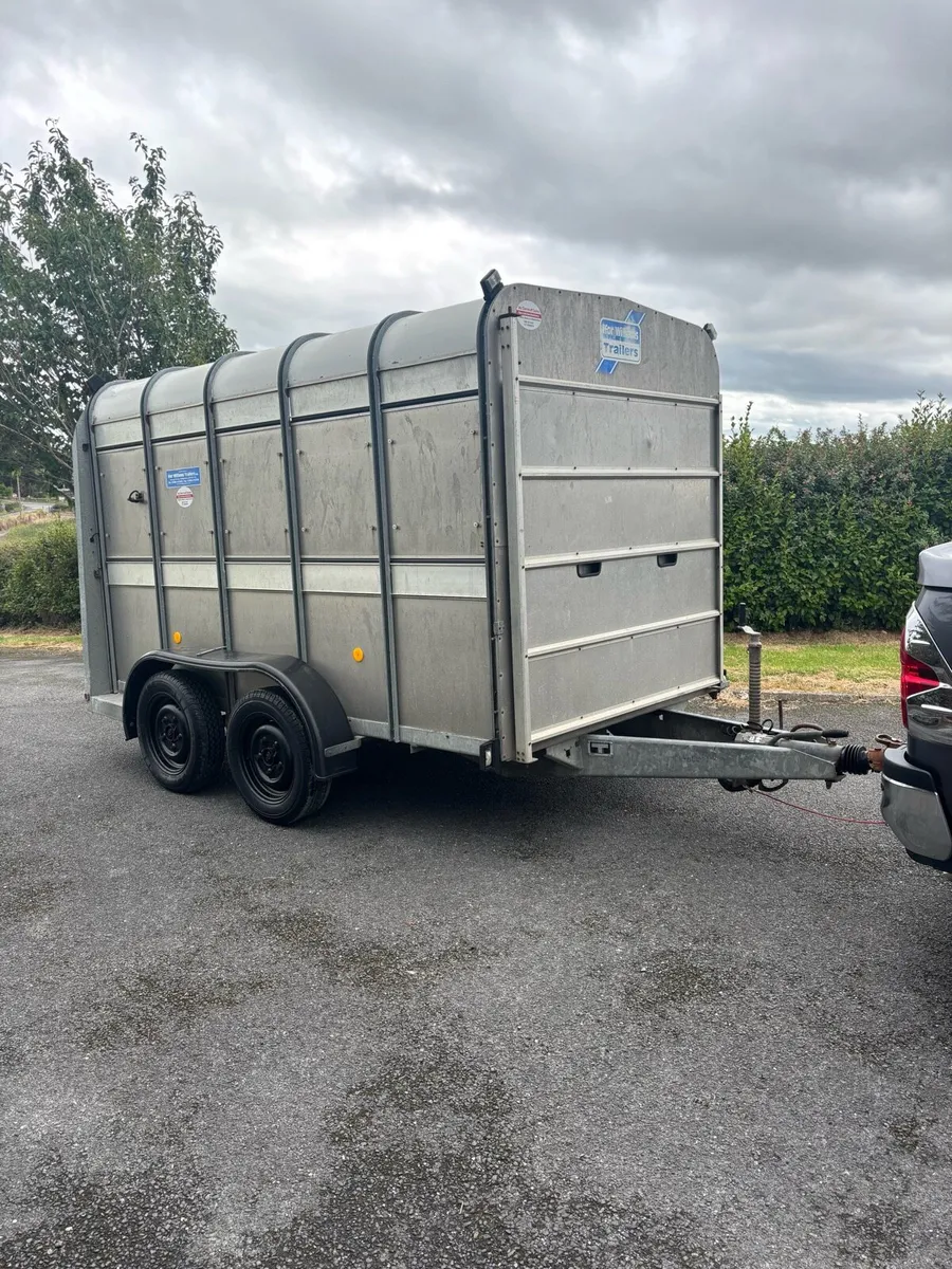 Ifor williams 10x6 cattle box - Image 1