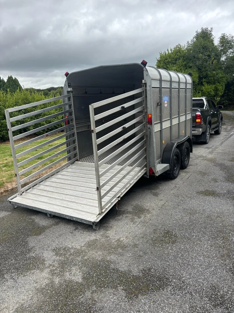 Ifor williams 10x6 cattle box - Image 2