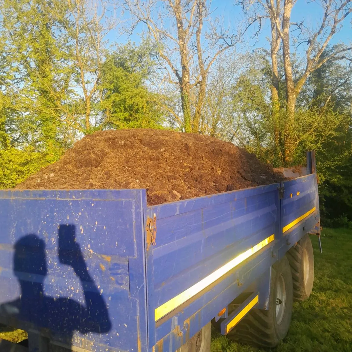 Mushroom compost for sale - Image 4