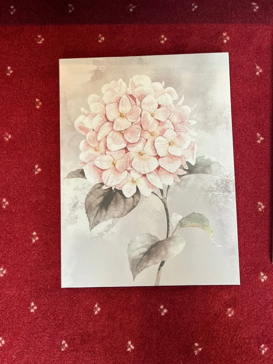 Pictures - Image 4