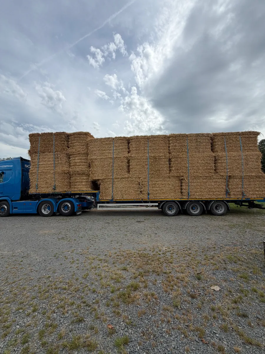 ***Straw*** - Image 1