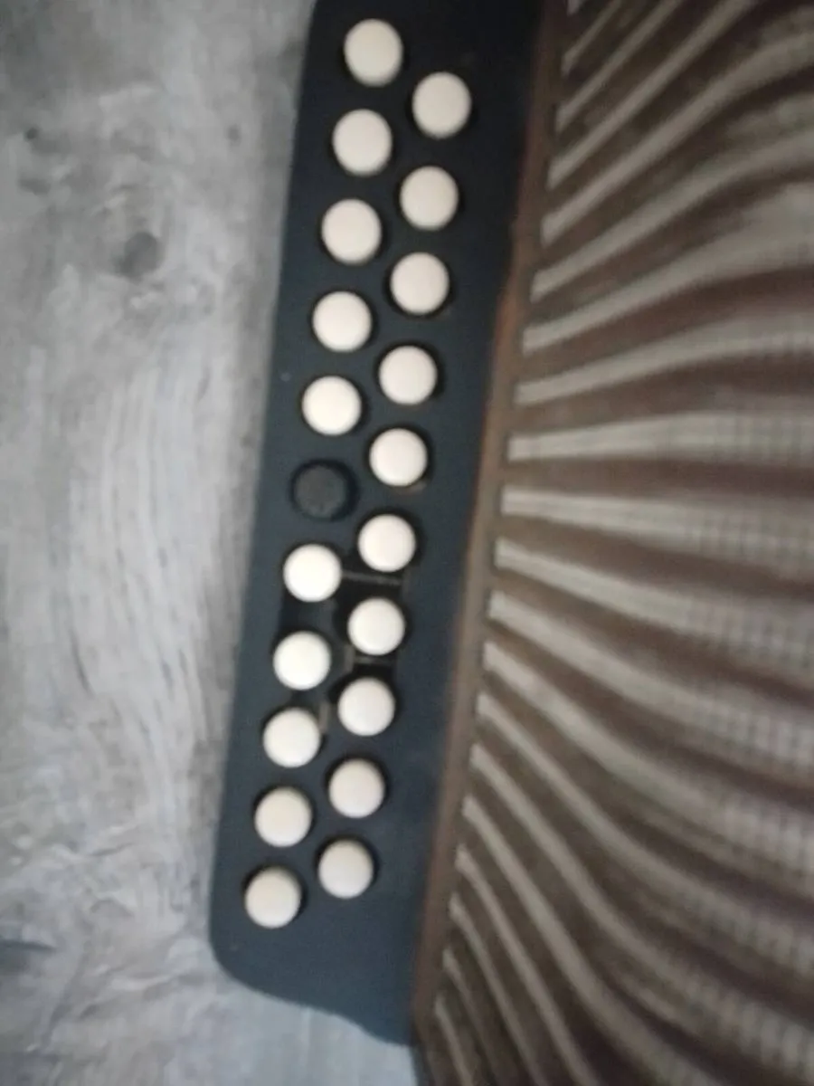 2 button accordions - Image 2