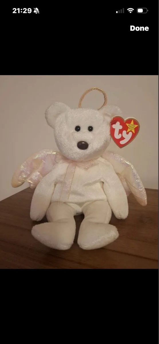 Rare & Retired Beanie Baby with errors - Image 1