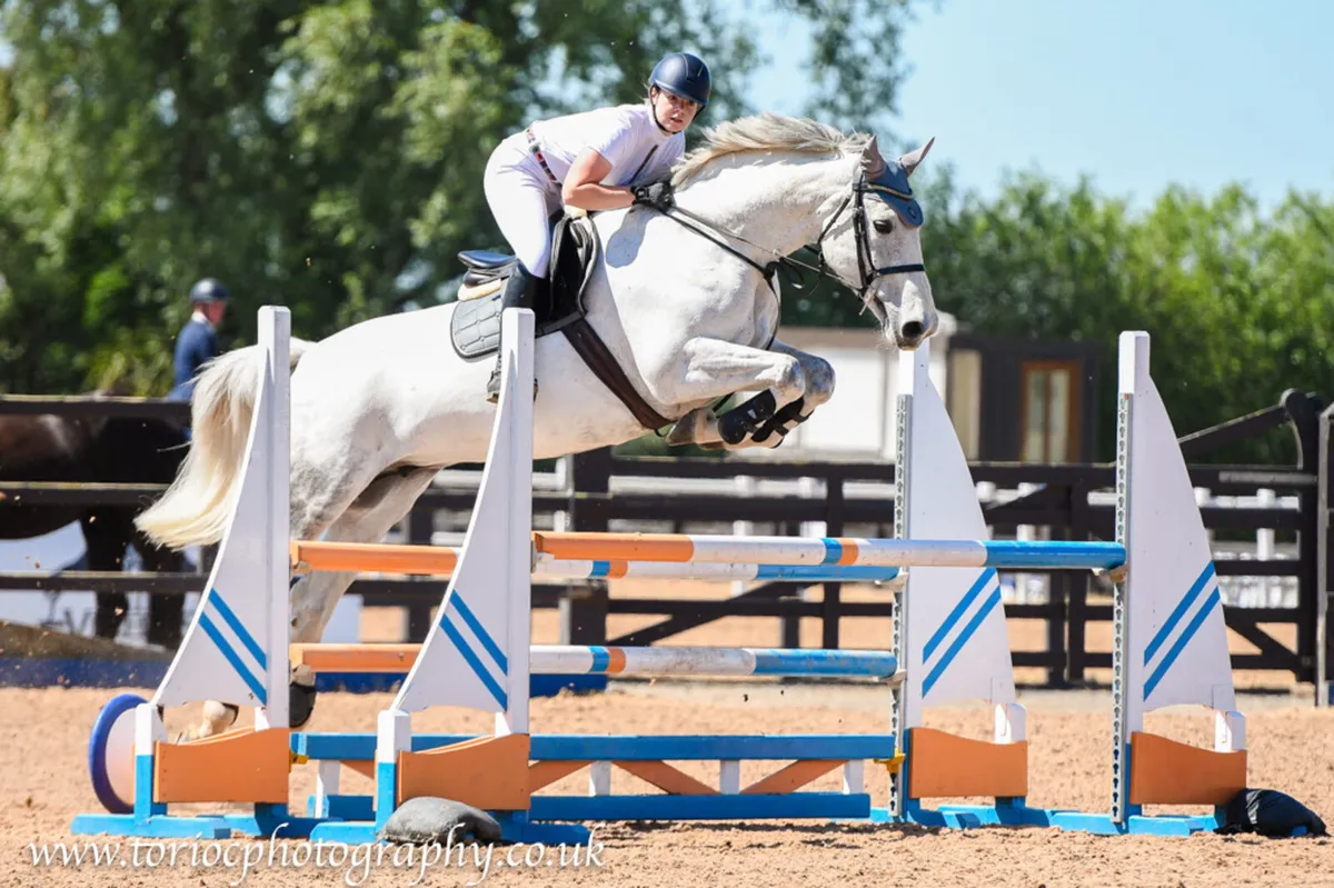 Top Quality Traditional Irish Brood Mare IN FOAL - Image 2