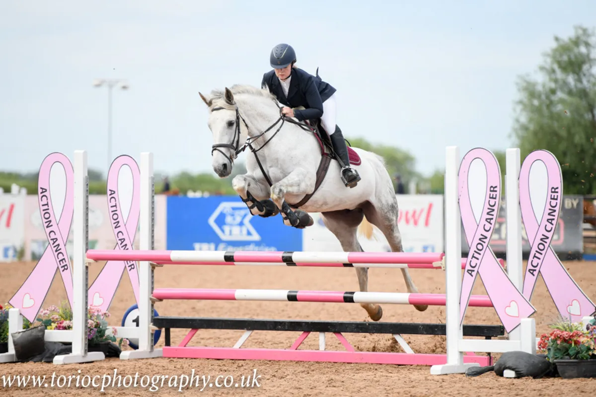 Top Quality Traditional Irish Brood Mare IN FOAL - Image 3