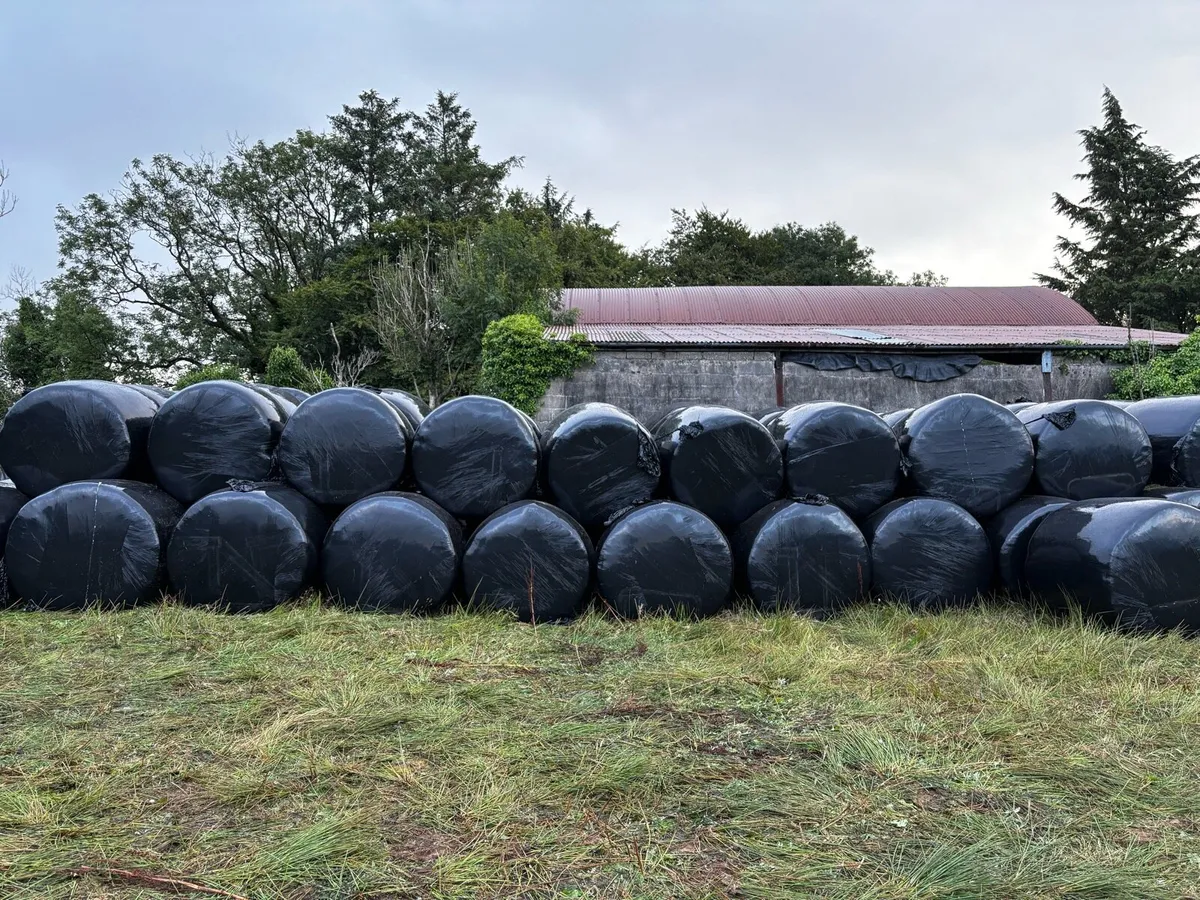 Silage bales - Image 1