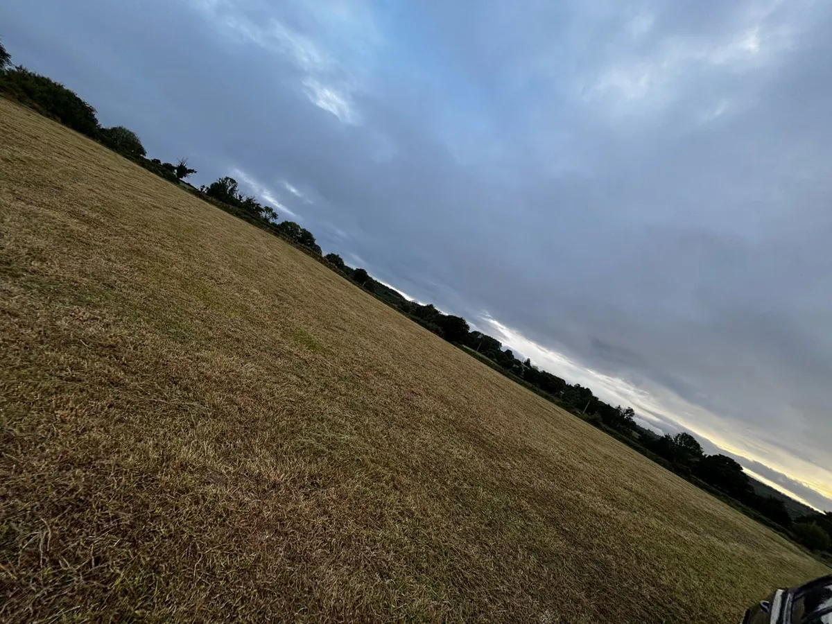 Silage bales - Image 3