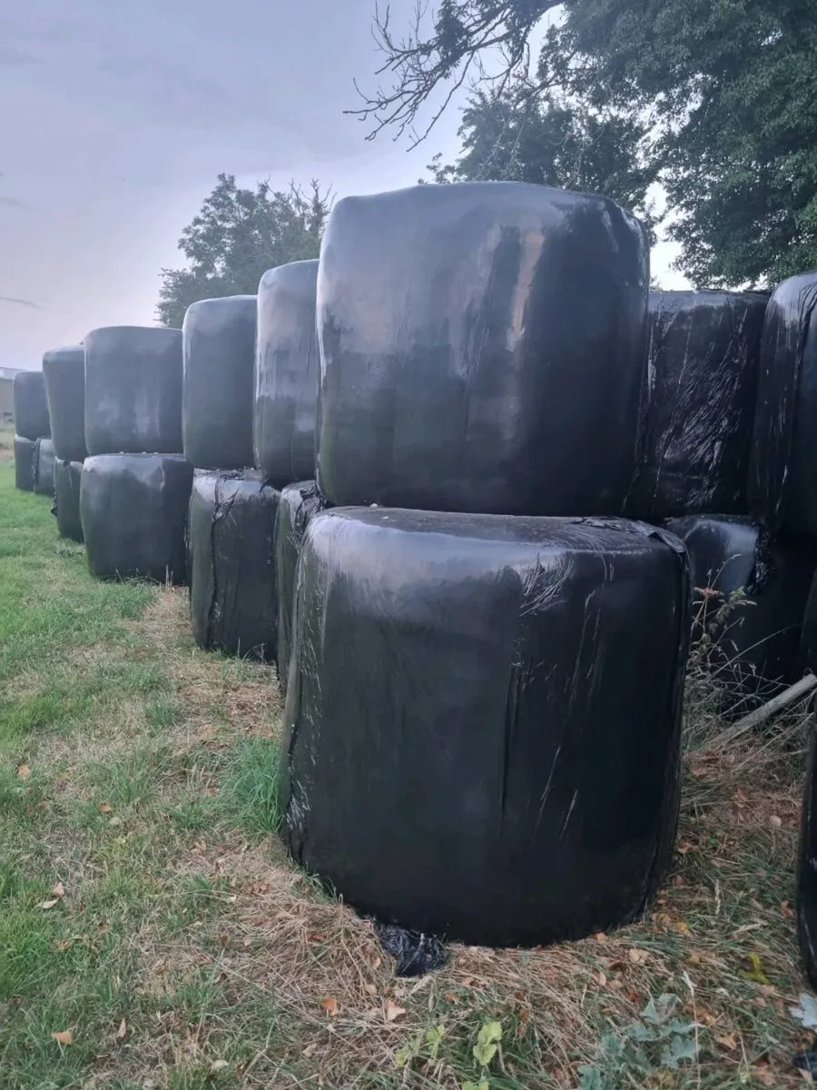 Silage Bales - Image 1