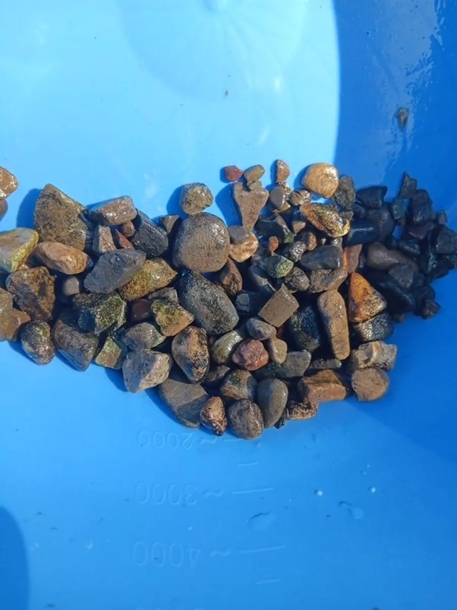 Beach pebbles - Image 3