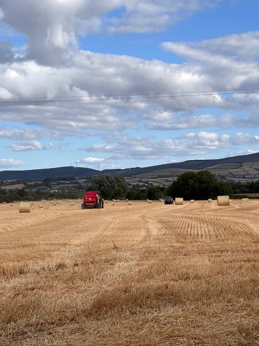 Straw: Round Bales