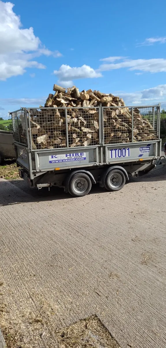 Ash Firewood - Image 3
