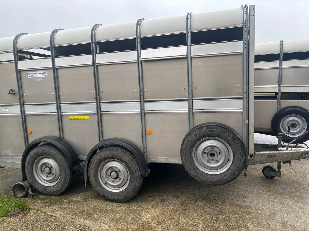 12x6 Ifor Williams with fold up decks choice of 2 - Image 2