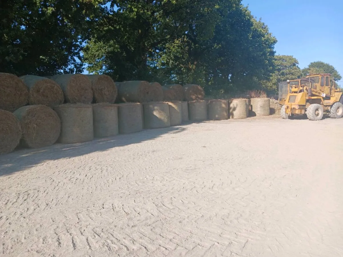 Hay for sale 25 euros - Image 1