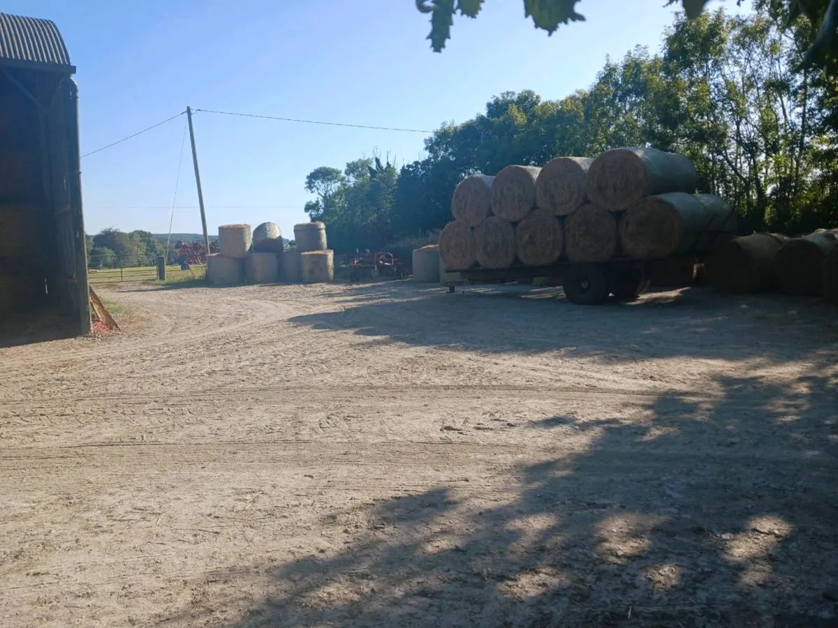 Hay for sale 25 euros - Image 3