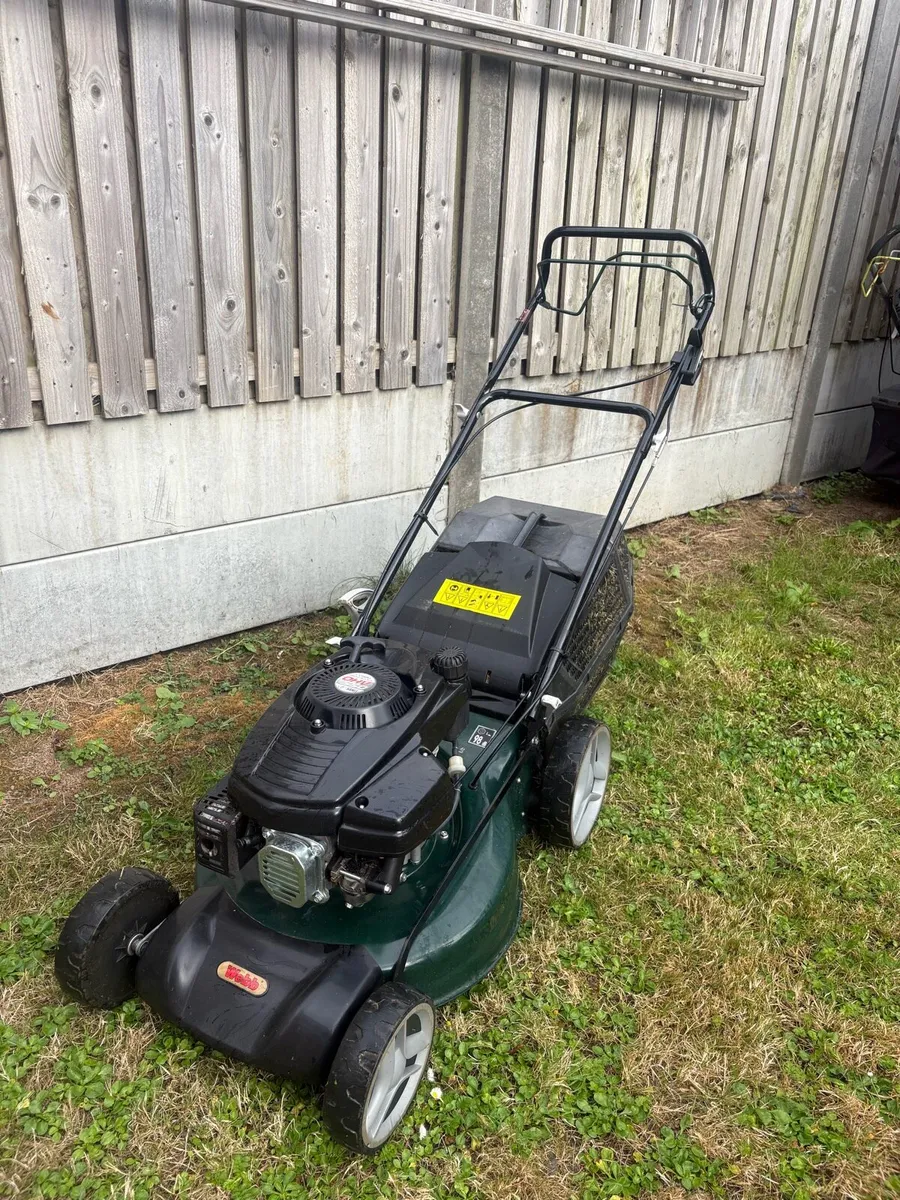 Webb lawnmower - Image 1