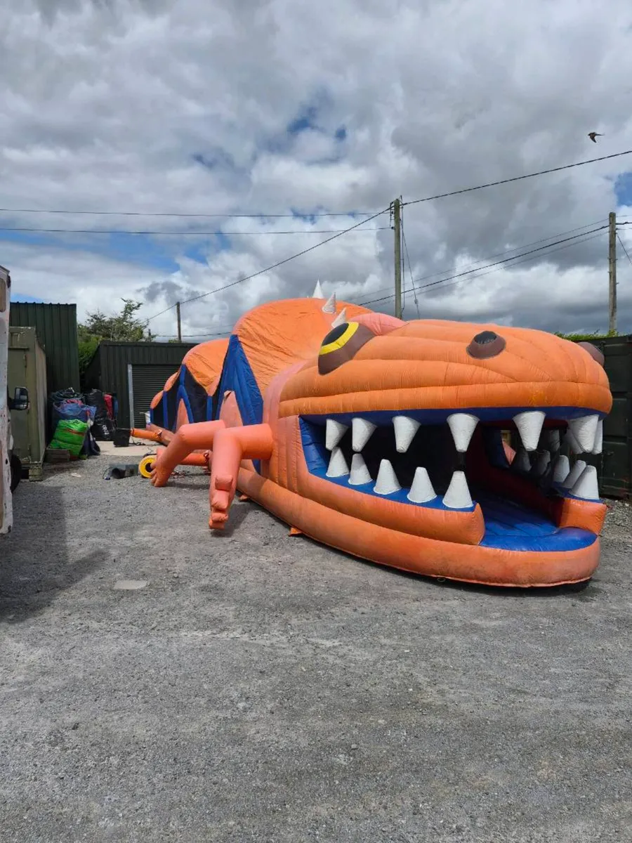 bouncy castle bounceing castles - Image 3