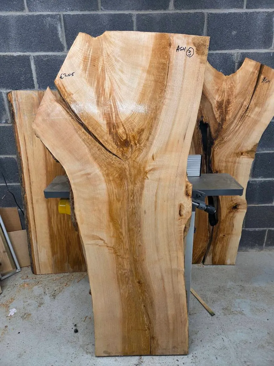 Live Edge Ash Slab - Kiln Dried - Image 1