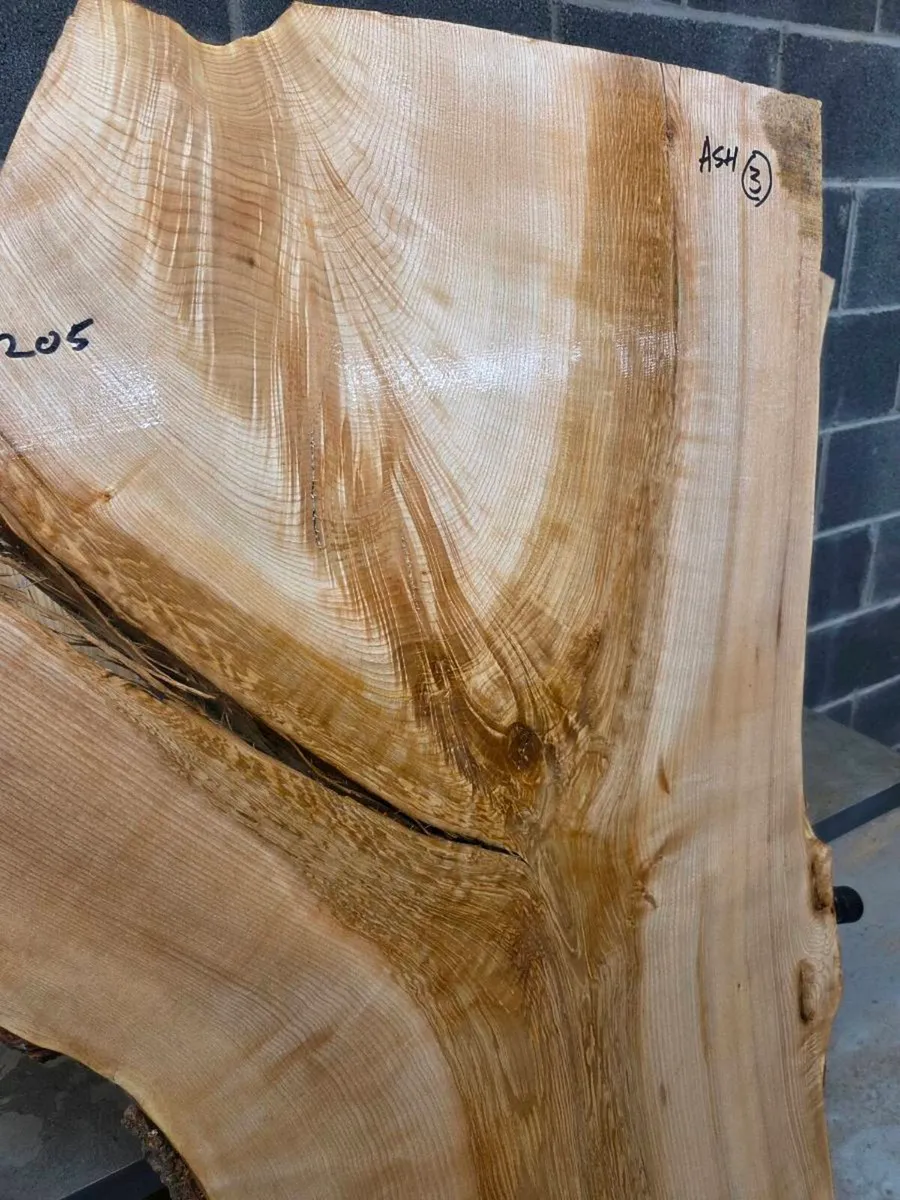 Live Edge Ash Slab - Kiln Dried - Image 2