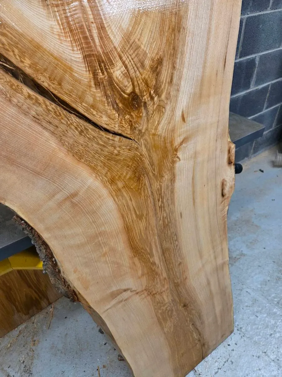 Live Edge Ash Slab - Kiln Dried - Image 3