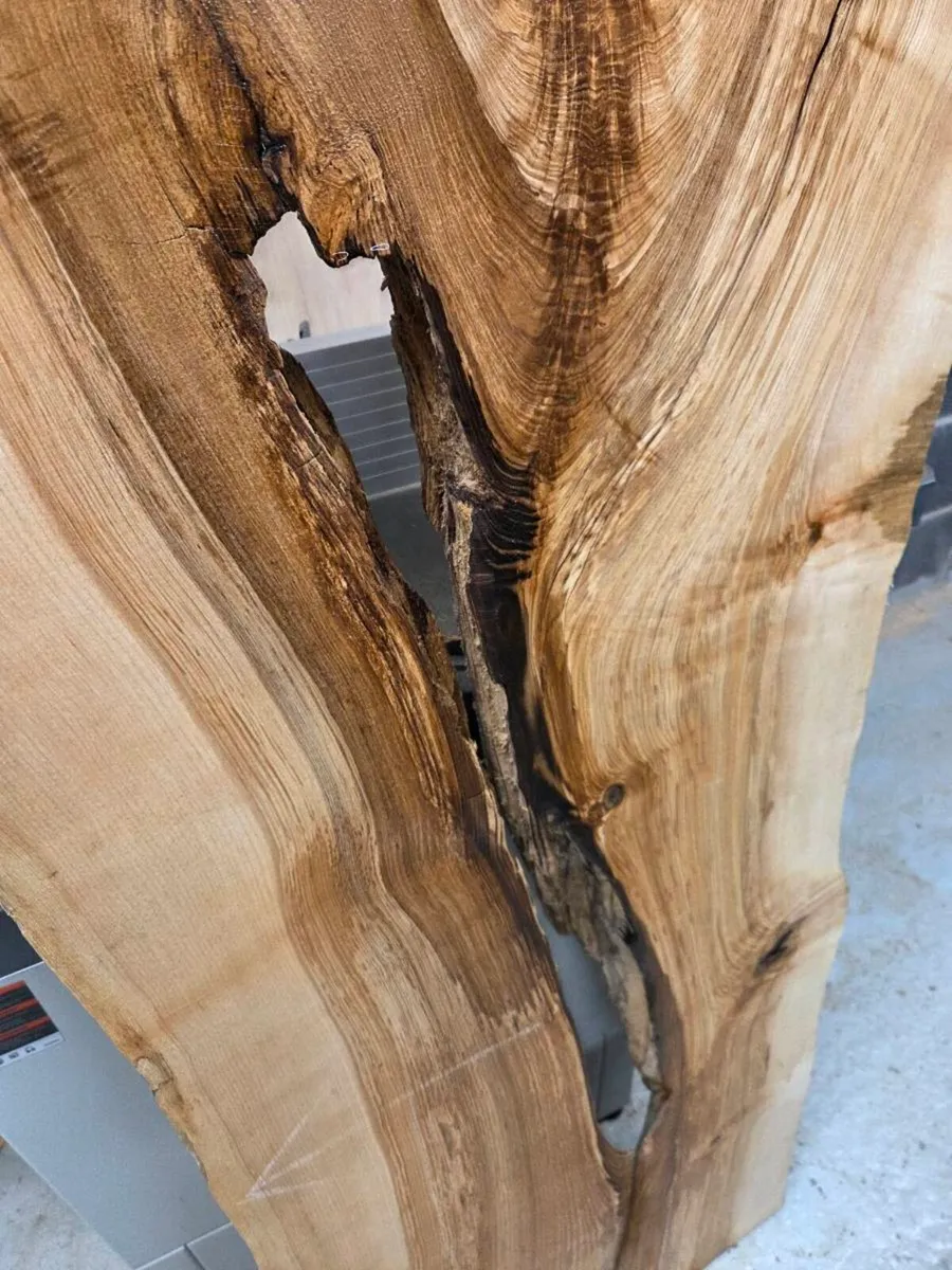 Live Edge Ash Slab - Kiln Dried - Image 3