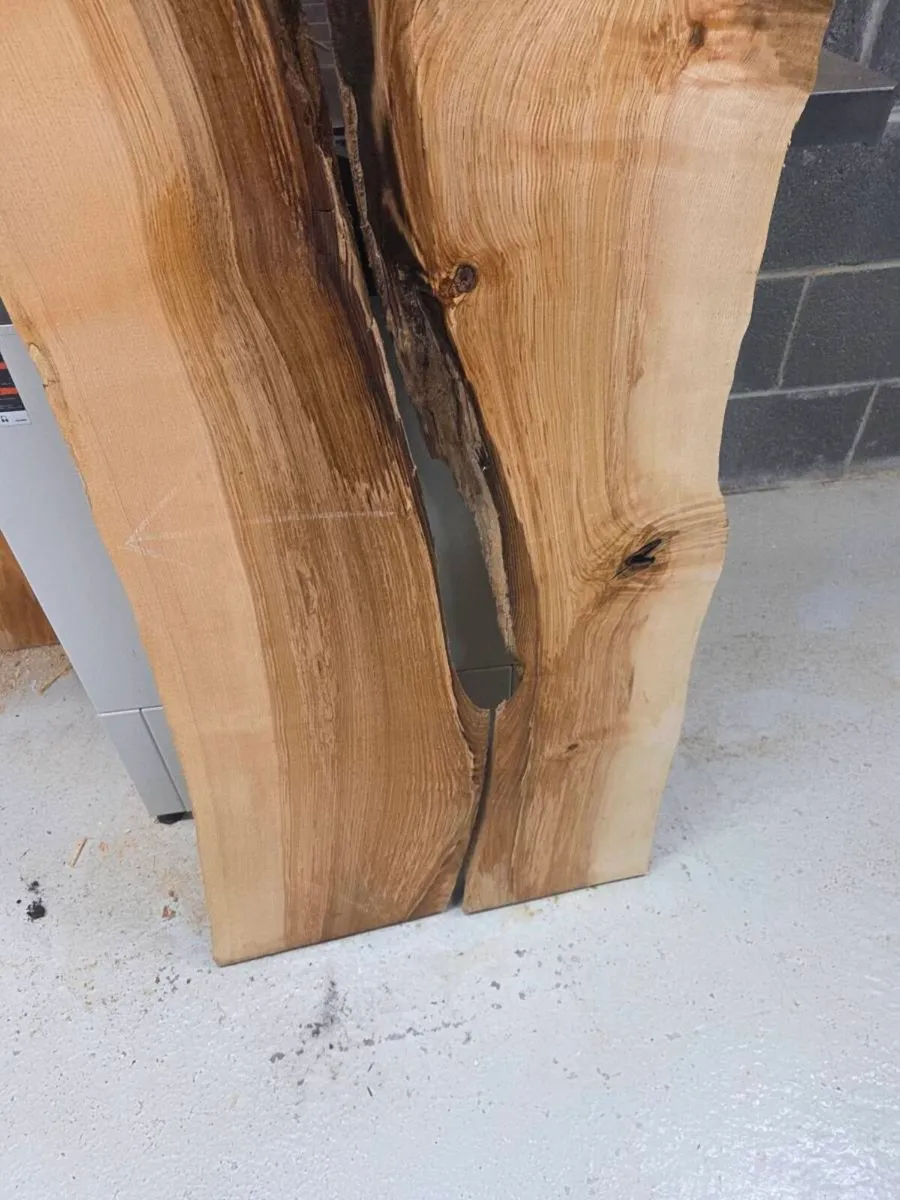 Live Edge Ash Slab - Kiln Dried - Image 4