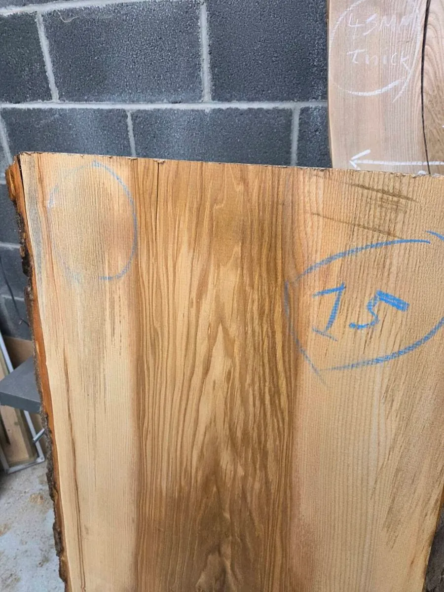 Live Edge Ash Slab - Kiln Dried - Image 2