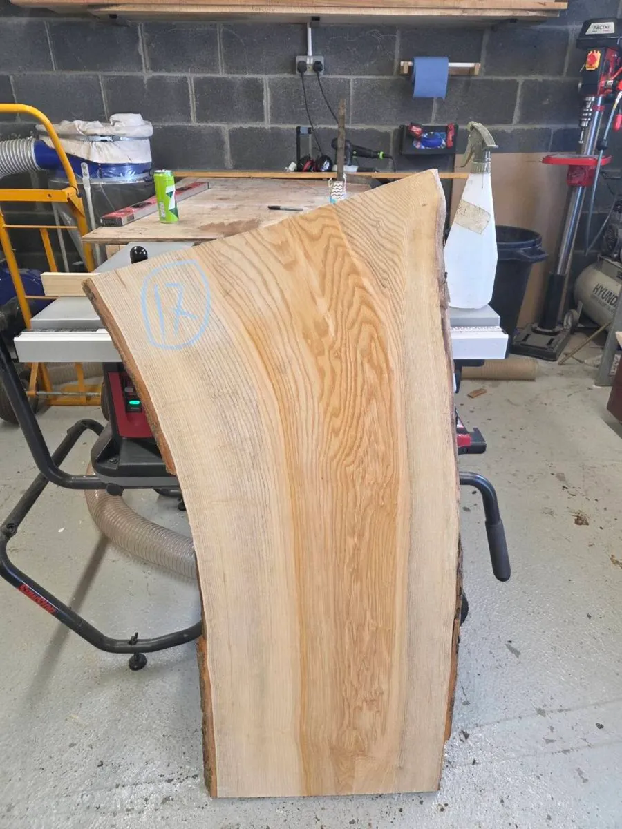 Live Edge Ash Slab - Kiln Dried - Image 1