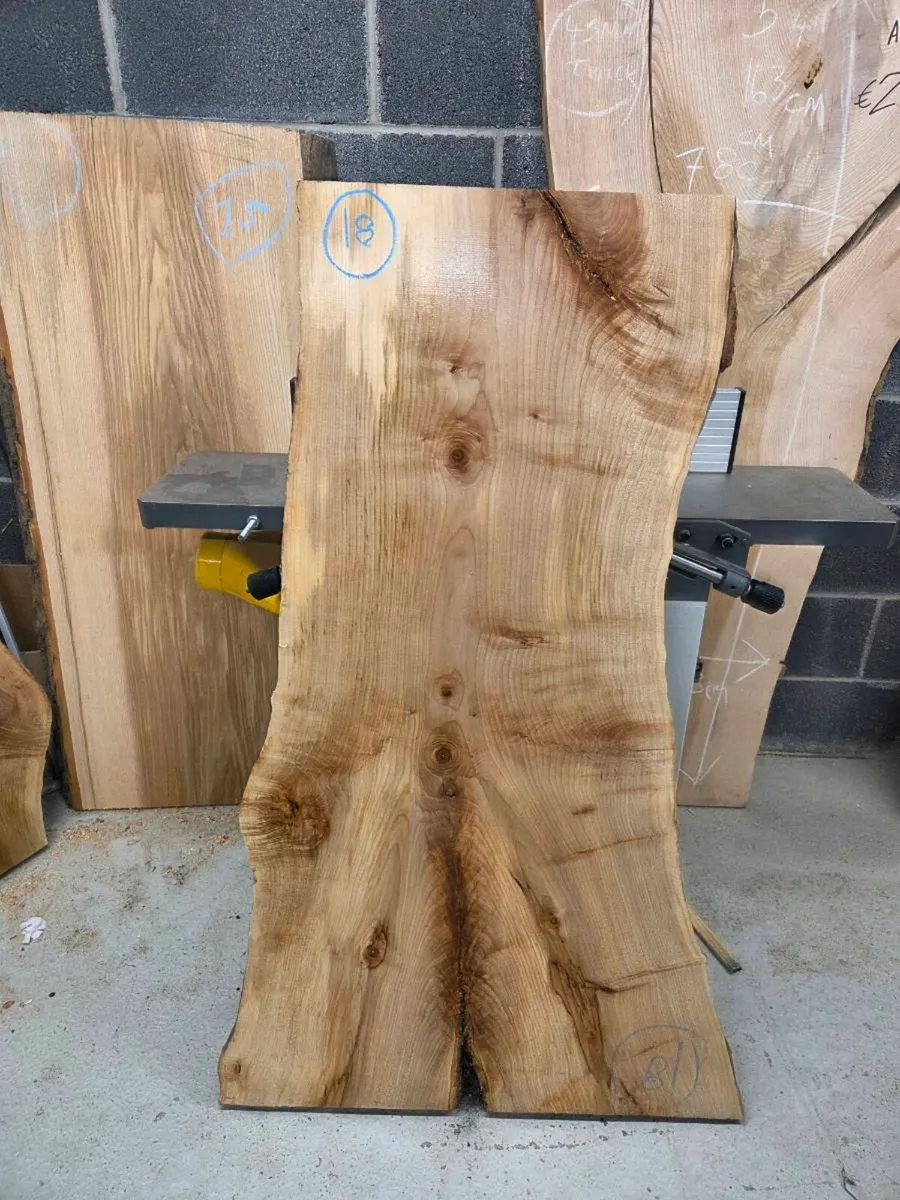 Live Edge Sycamore Slab - Kiln Dried - Image 1