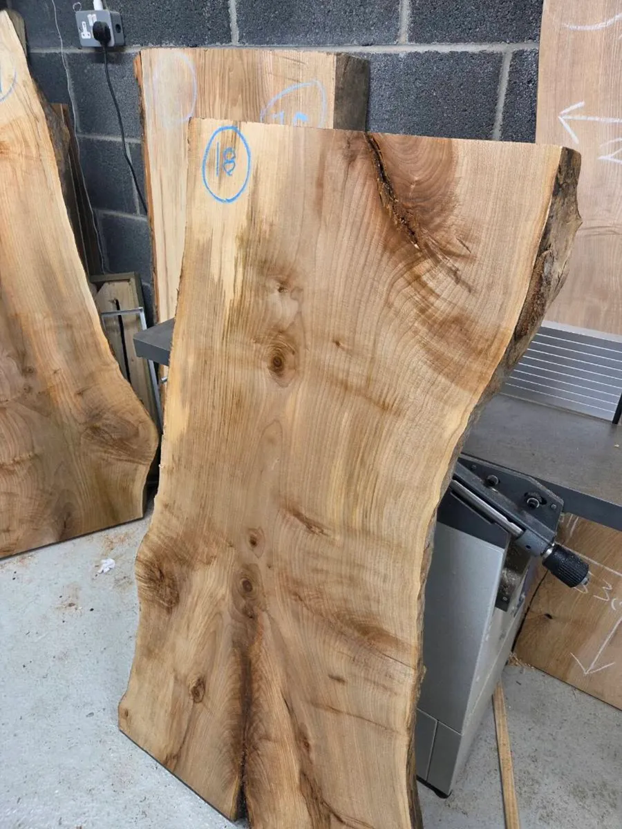 Live Edge Sycamore Slab - Kiln Dried - Image 2