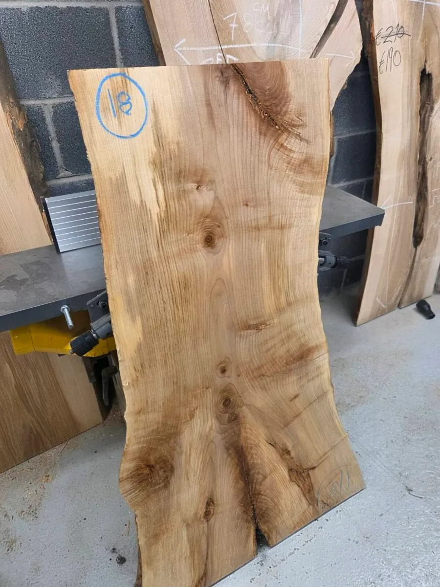 Live Edge Sycamore Slab - Kiln Dried - Image 3