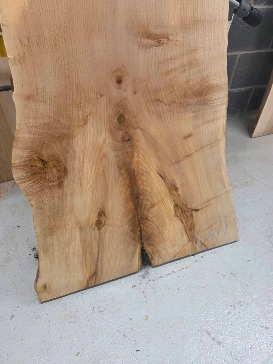 Live Edge Sycamore Slab - Kiln Dried - Image 4