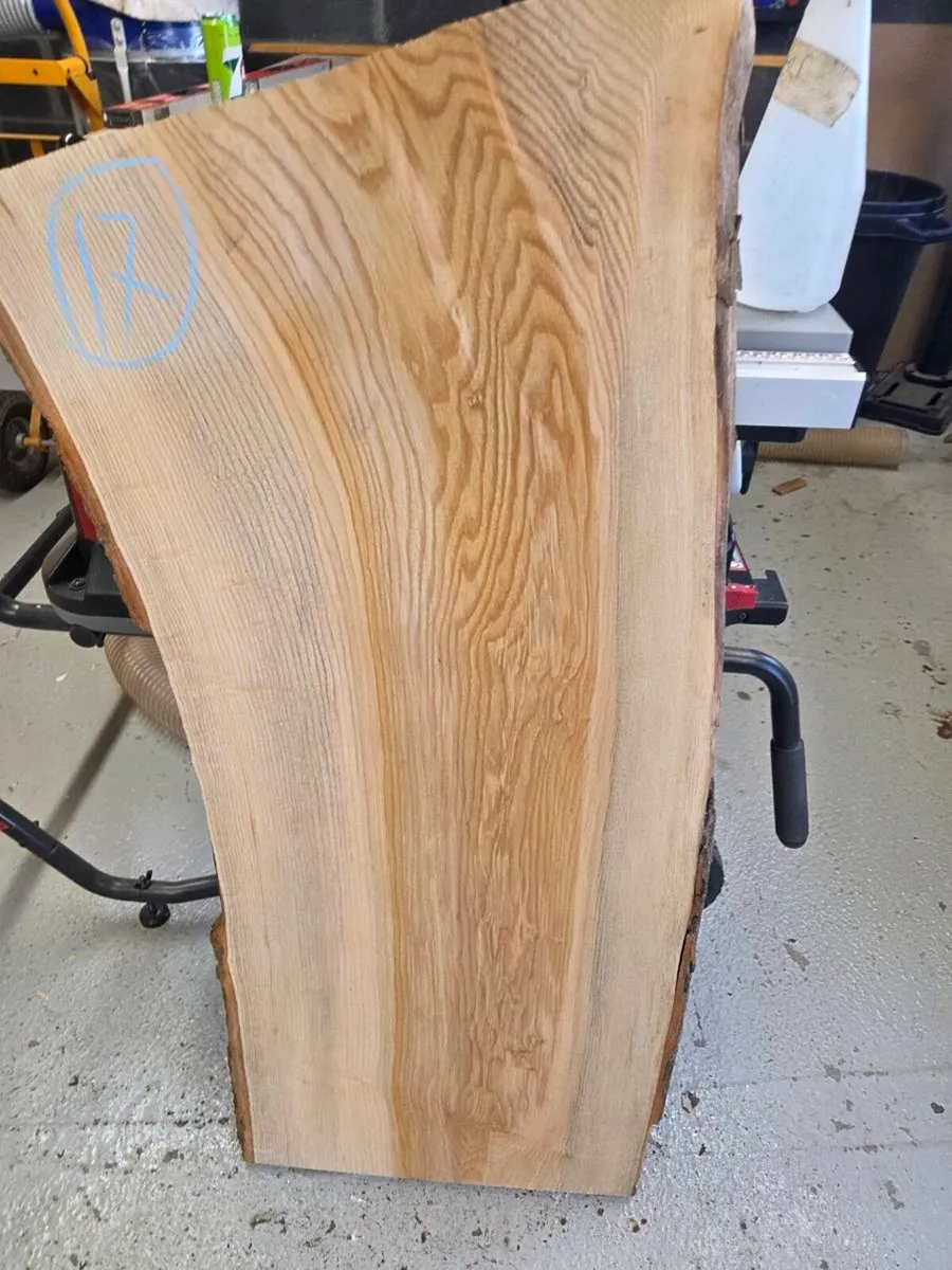 Live Edge Ash Slab - Kiln Dried - Image 2