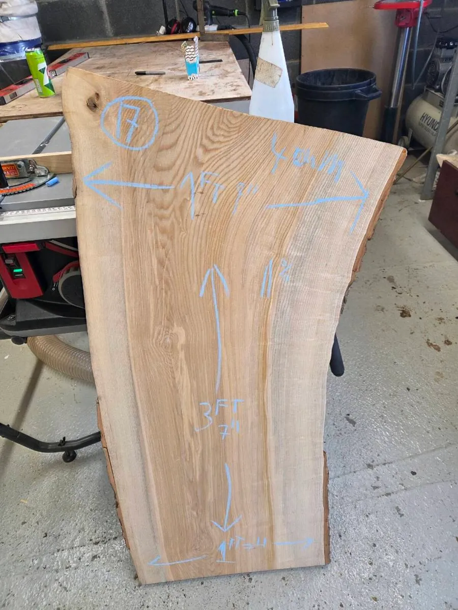 Live Edge Ash Slab - Kiln Dried - Image 3